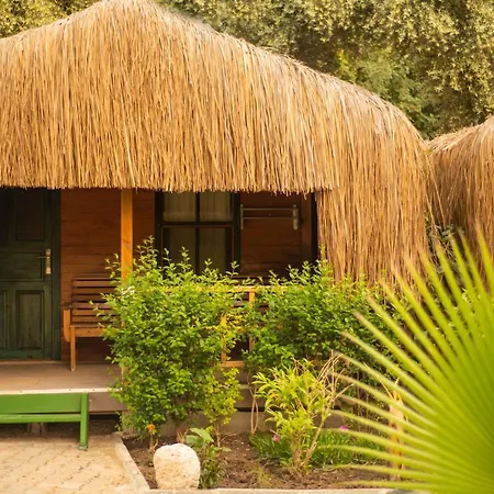 شوجر بيتش كلوب 3*