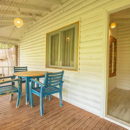 شوجر بيتش كلوب 3*