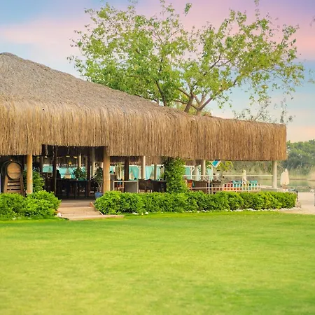 شوجر بيتش كلوب