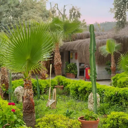 فندق شوجر بيتش كلوب 3*