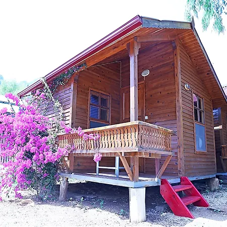 فندق شوجر بيتش كلوب