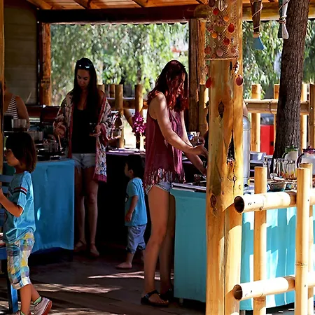 شوجر بيتش كلوب