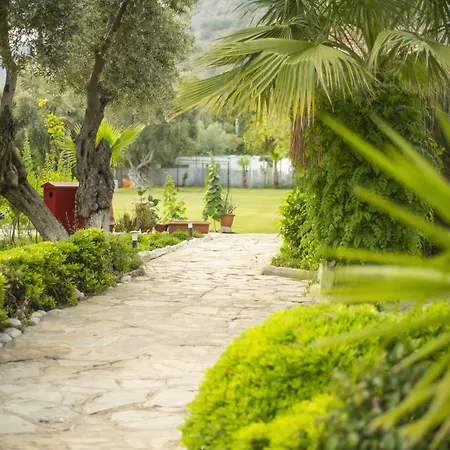 شوجر بيتش كلوب أولدينيس