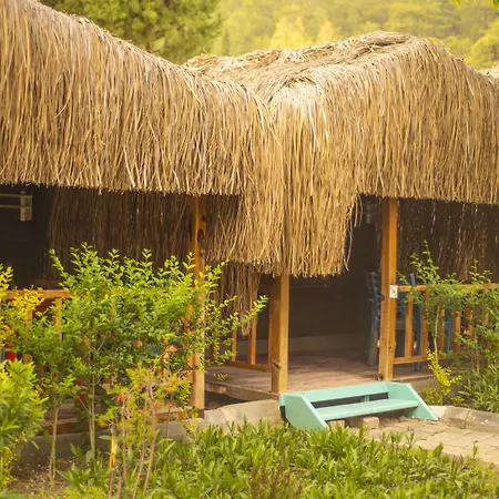 شوجر بيتش كلوب 3*