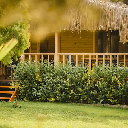 شوجر بيتش كلوب أولدينيس