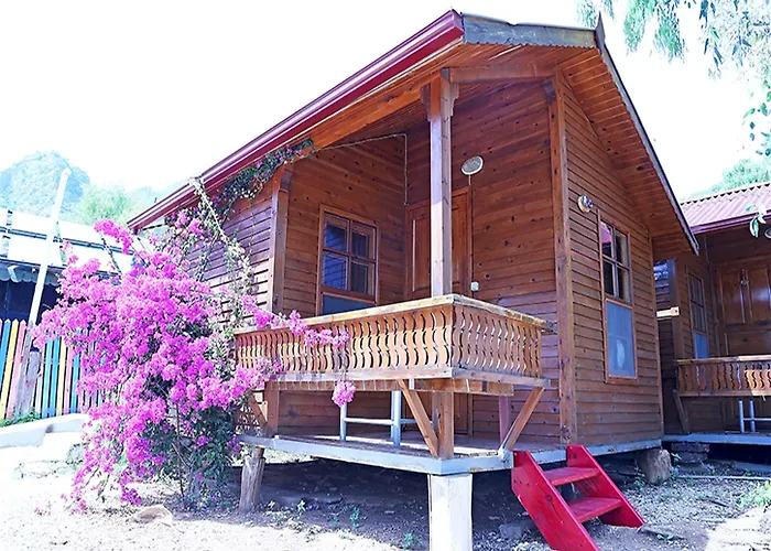 酒店 糖果海滩俱乐部酒店