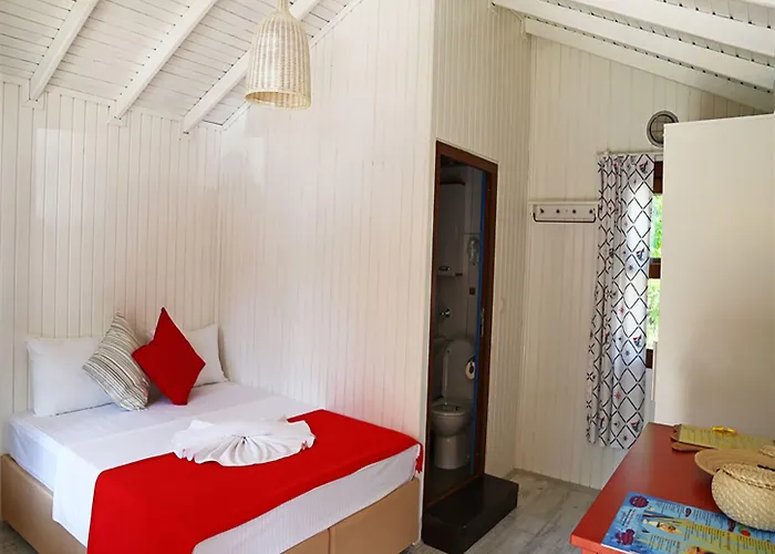 酒店 糖果海滩俱乐部酒店