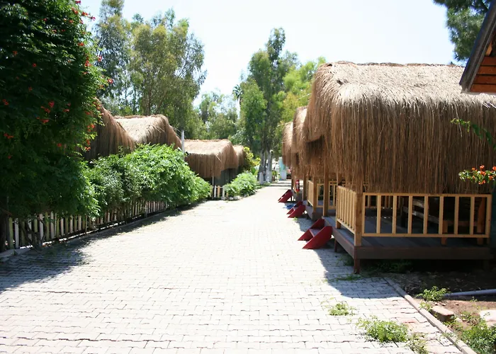 酒店 糖果海滩俱乐部酒店 3*