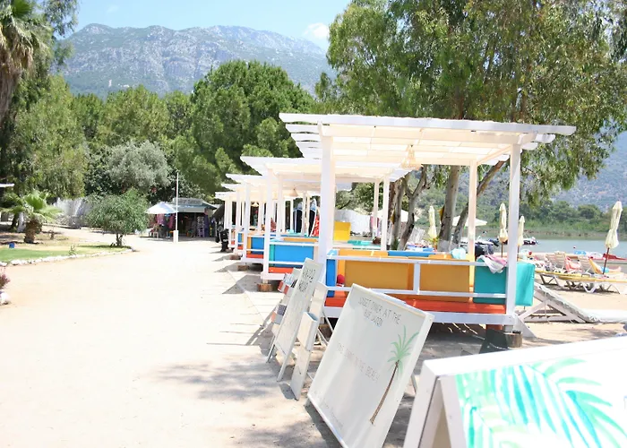 酒店 糖果海滩俱乐部酒店 3*