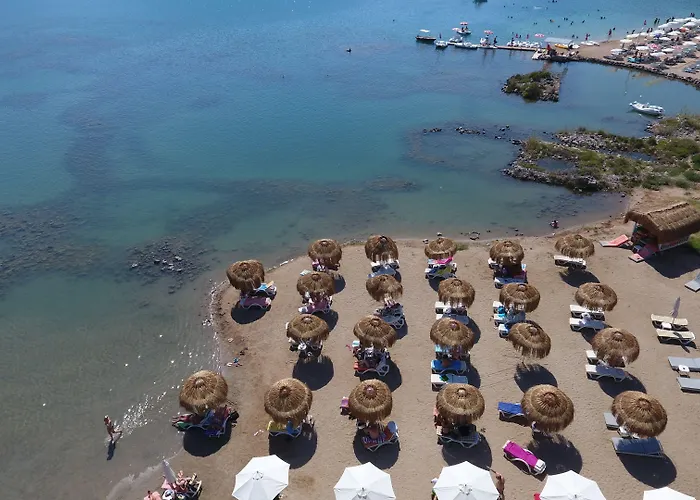 糖果海滩俱乐部酒店 酒店