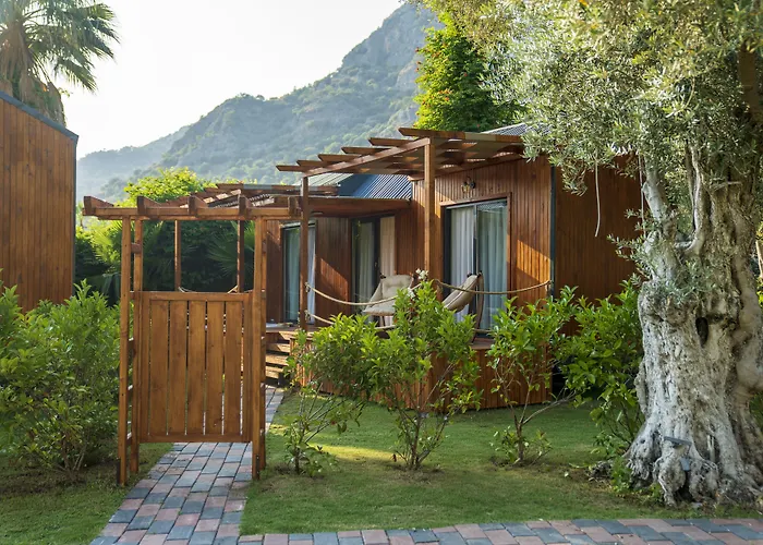 酒店 糖果海滩俱乐部酒店