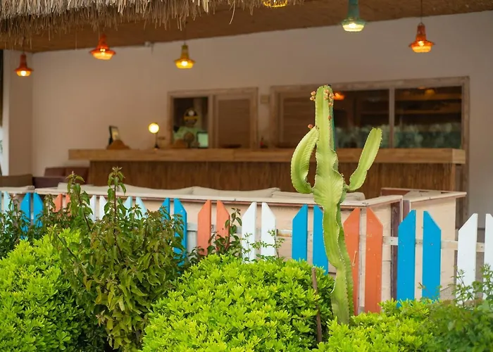 Sugar Club Oludeniz