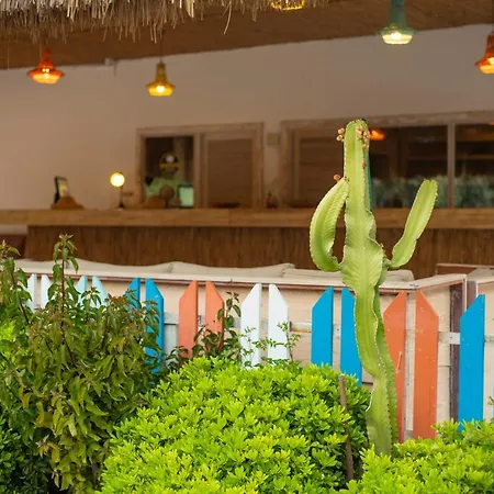 Sugar Club Ölüdeniz